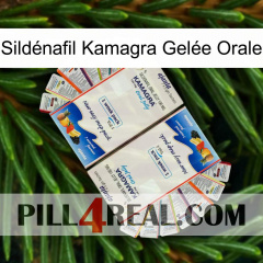 Sildénafil Kamagra Gelée Orale kamagra1